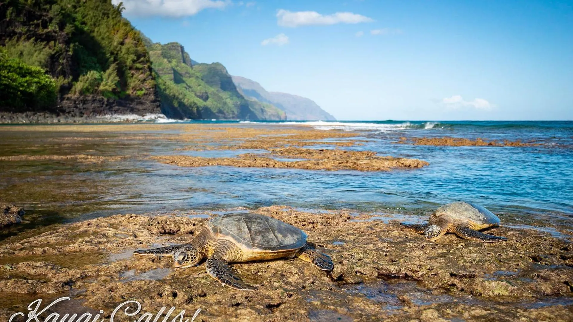 Apartmán Kapaa Shore C324 Wailua